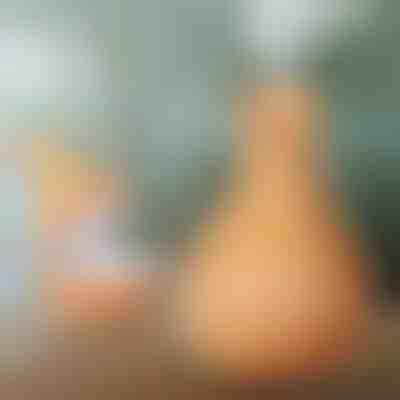 Humidificador de madeira | HUMISTER