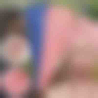 Toalha para cabelo de secagem rápida (Pacote com 2) | HAIRWRAP