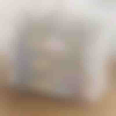 Armazenamento transparente e empilhável para sapatos | DURASTOR