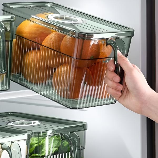 FRESHDISH-3831127549915-N-10__021026