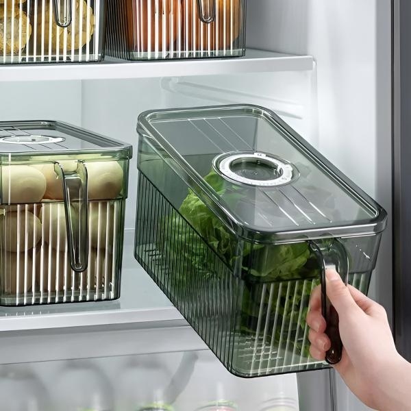 FRESHDISH-3831127549915-N-3__021026